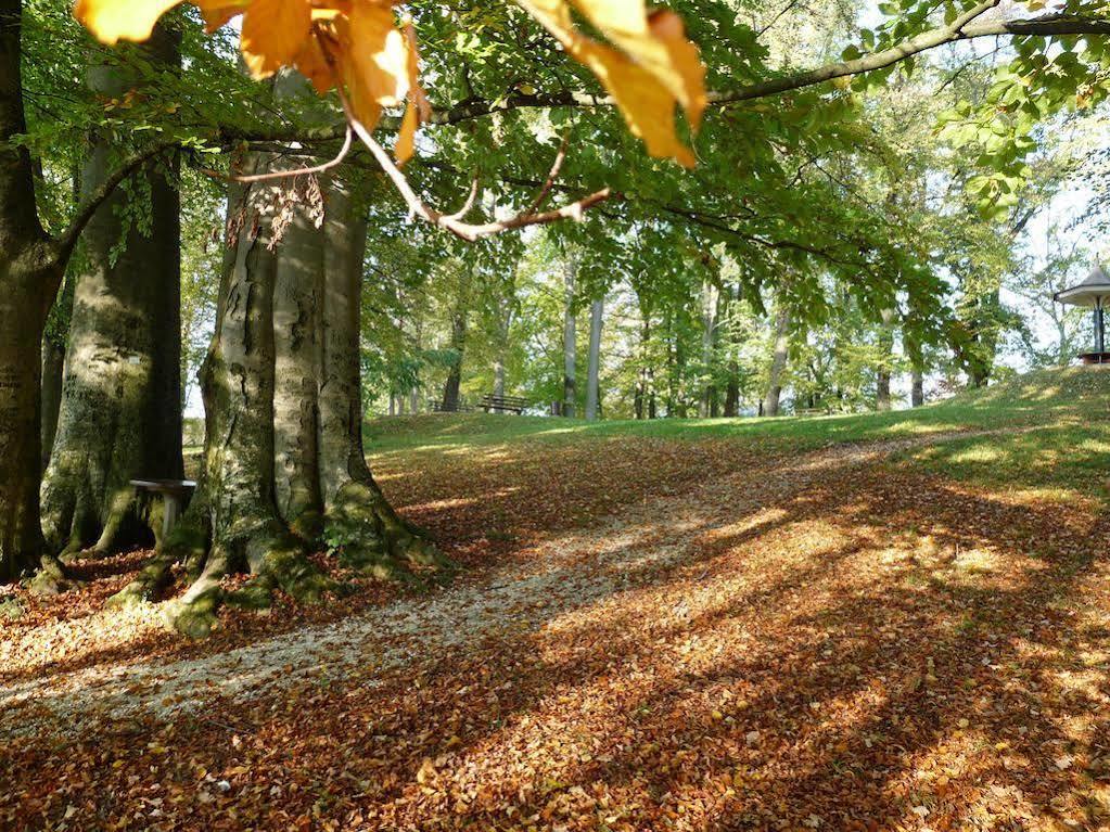 Parkhotel Zur Klause Bad Hall Exteriör bild